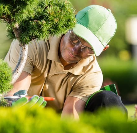 Cómo preparar el terreno antes de instalar un jardín
